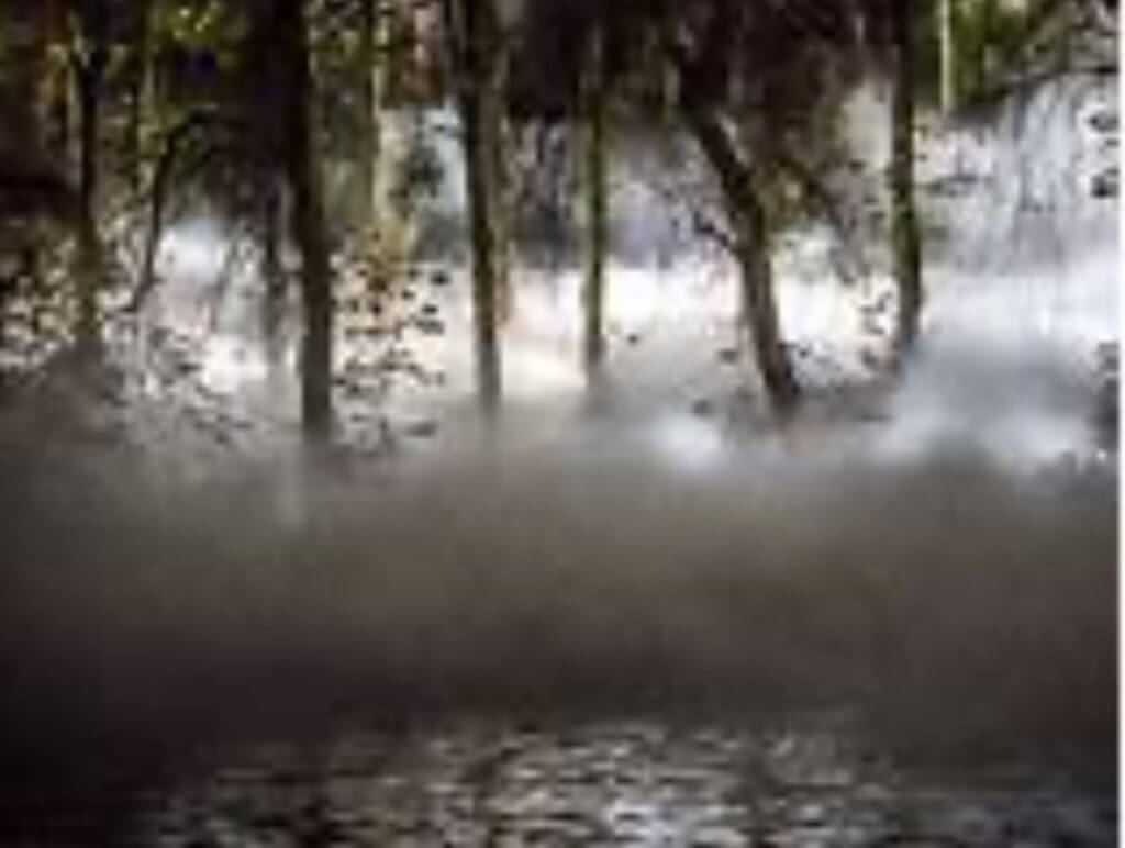 image1(1)